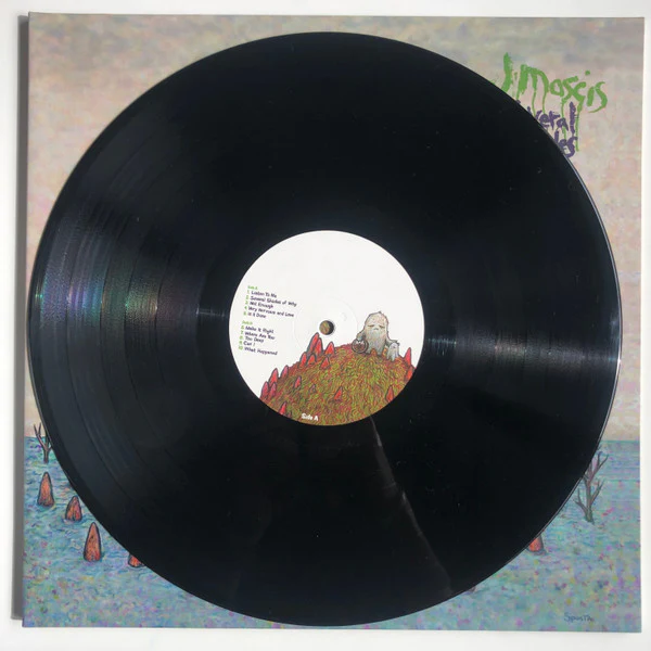J Mascis – Several Shades Of Why (M/M) – LP, US 2011 - Image 5