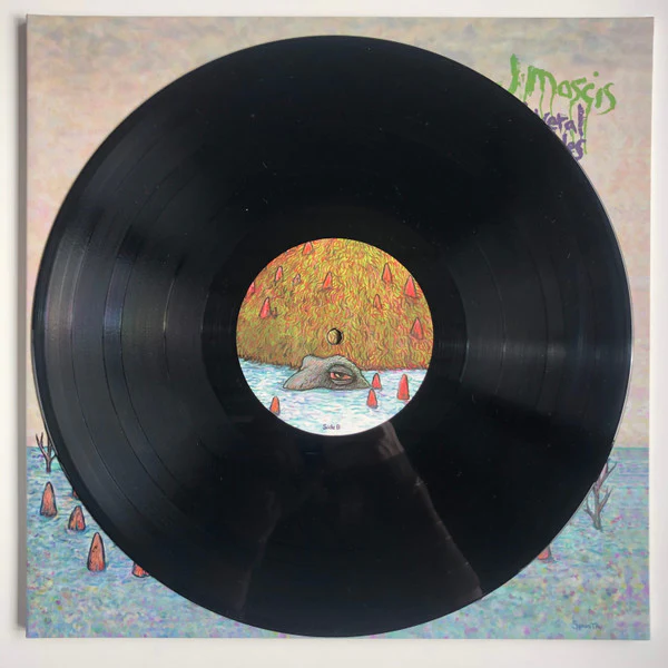 J Mascis – Several Shades Of Why (M/M) – LP, US 2011 - Image 6