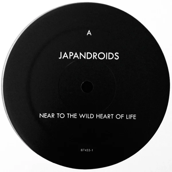 Japandroids – Near To The Wild Heart Of Life (M/M) – LP, US 2017 - Image 6