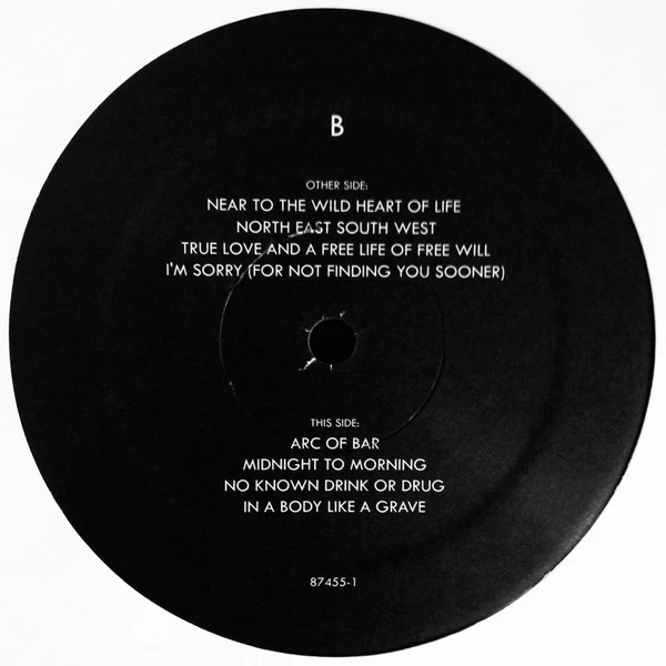Japandroids – Near To The Wild Heart Of Life (M/M) – LP, US 2017 - Image 8