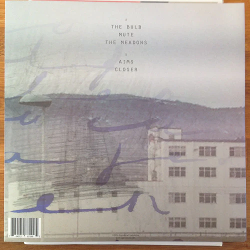 Jared Ambience Inc. – Rats (M/M) – LP, NO 2016 - Image 2