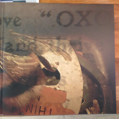 Jared Ambience Inc. – Rats (M/M) – LP, NO 2016 - Image 6