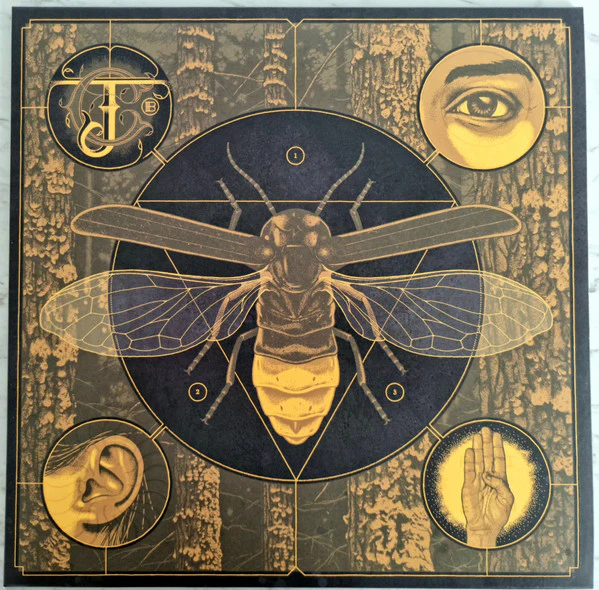 Jerry Cantrell – Brighten (M/M) – LP, AU 2022