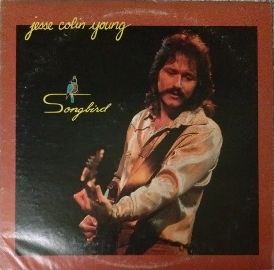 Jesse Colin Young – Songbird (VG/VG) – LP, US 1975
