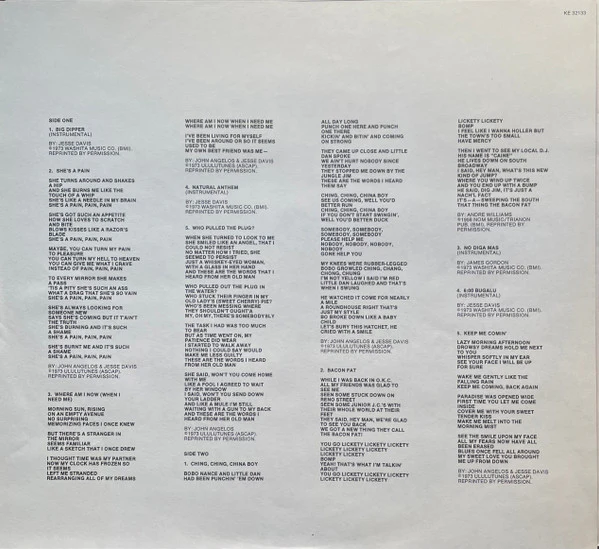 Jesse Ed Davis – Keep Me Comin' (VG+/VG+) – LP, US 1973 - Image 3