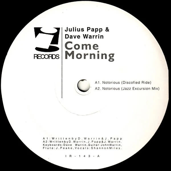 Julius Papp & Dave Warrin – Come Morning (VG/VG) – 12", US 1998