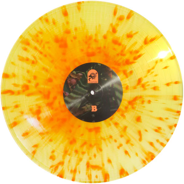 King Gizzard And The Lizard Wizard – Float Along - Fill Your Lungs / Oddments (NM/VG+) – LP, US 2014 - Image 6