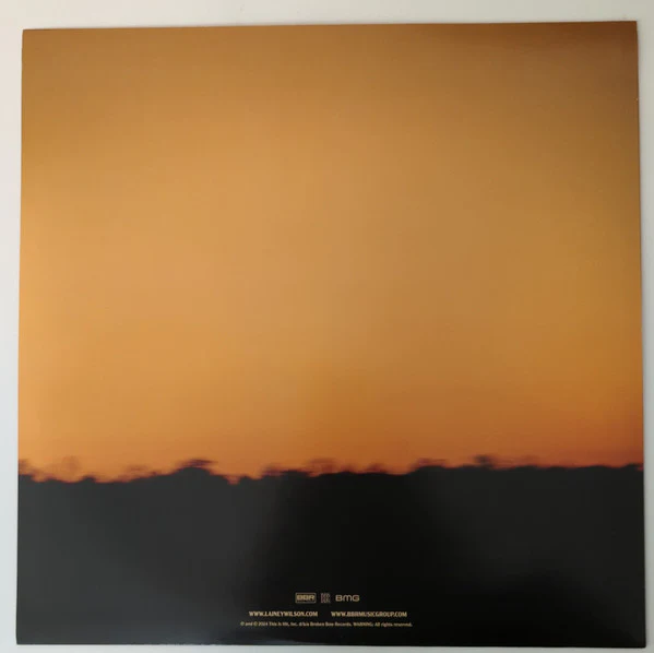 Lainey Wilson – Whirlwind (VG+/VG+) – 2xLP, Worldwide 2024 - Image 10