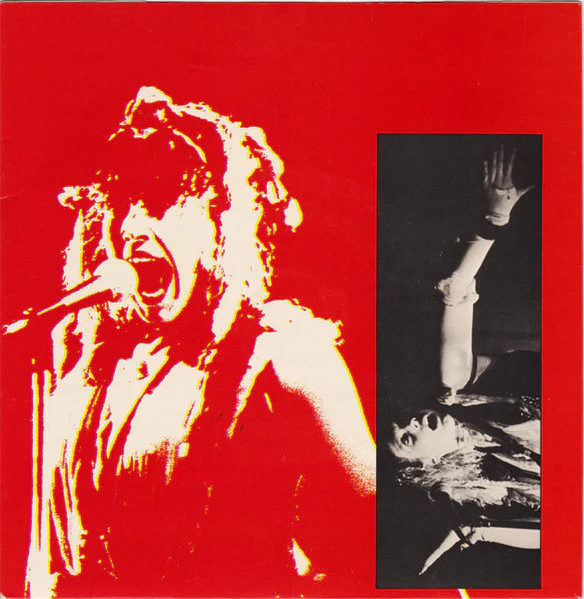 Lene Lovich – What Will I Do Without You (VG+/VG+) – 7", AU 1980