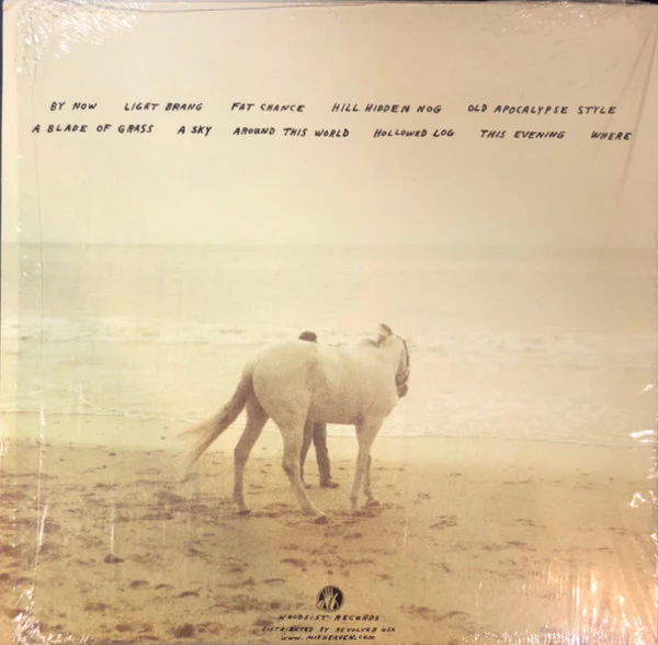 Little Wings – Explains (VG+/VG+) – LP, US 2015 - Image 2