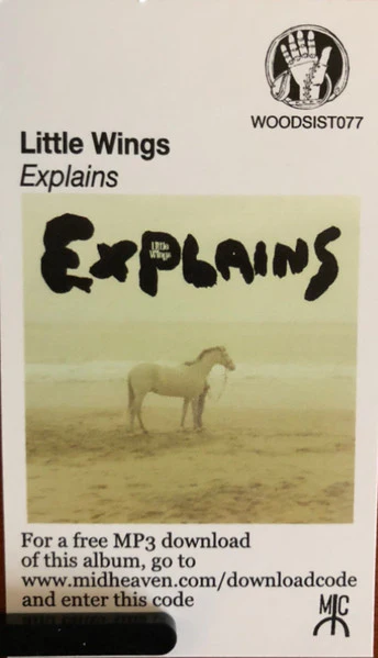 Little Wings – Explains (VG+/VG+) – LP, US 2015 - Image 7