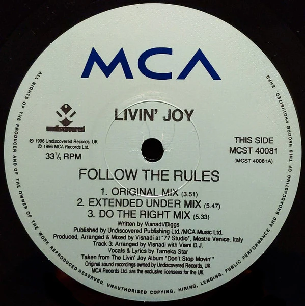 Livin' Joy – Follow The Rules (VG/VG+) – 12", UK 1996 - Image 3