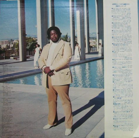 Love Unlimited Orchestra – Rhapsody In White (VG+/VG+) – LP, JP 1974, With OBI - Image 2