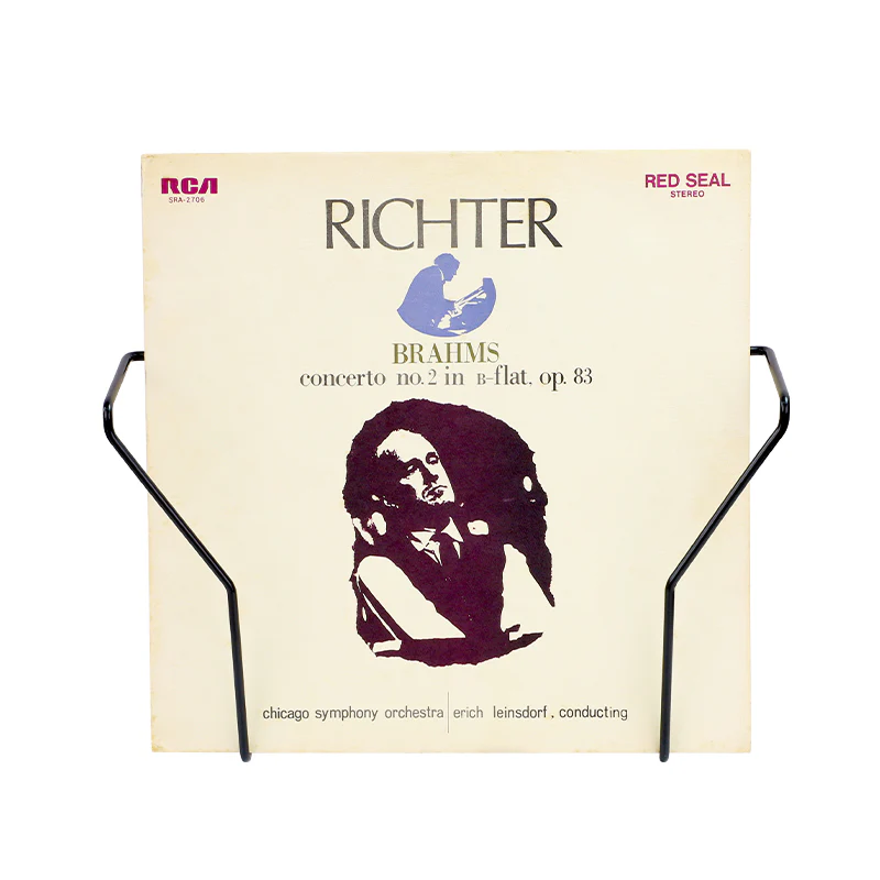 LP Wall Mount Display – Metal Wire Vinyl Record Wall Holder for 10 LPs