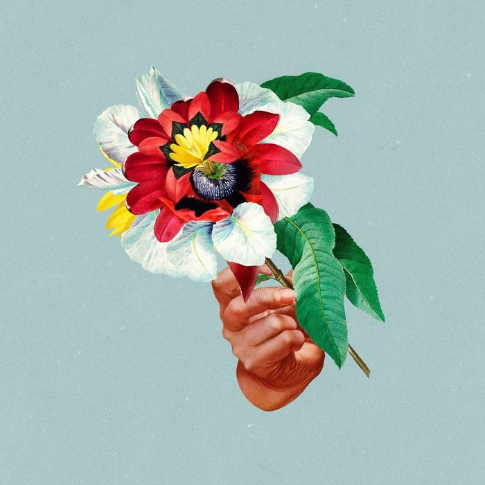 Maribou State – Kingdoms In Colour
