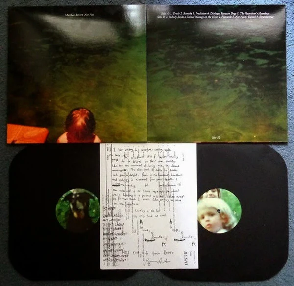 Matthew Revert – Not You (NM/NM) – LP, US 2014 - Image 2