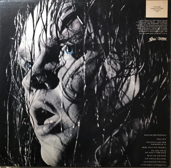 Meat Loaf – Dead Ringer (VG/VG) – LP, AU 1981 - Image 4