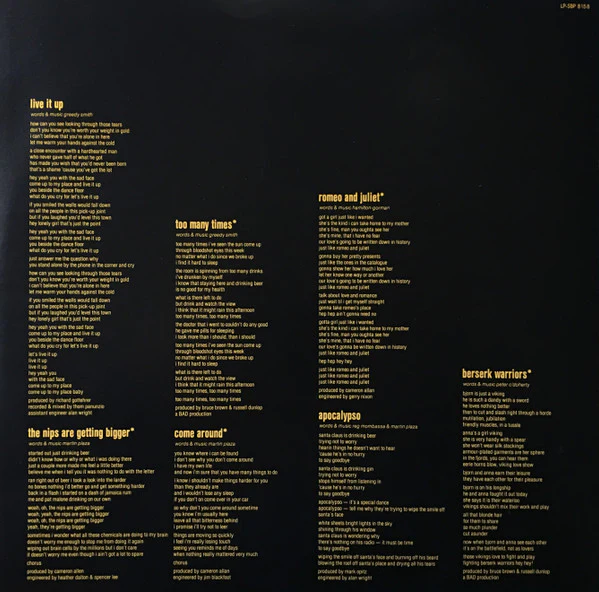 Mental As Anything – Greatest Hits Vol. 1 (VG+/VG+) – LP, AU 1986 - Image 6