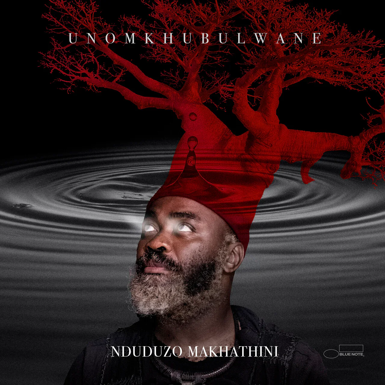 Nduduzo Makhathini – Unomkhubulwane (2xLP)