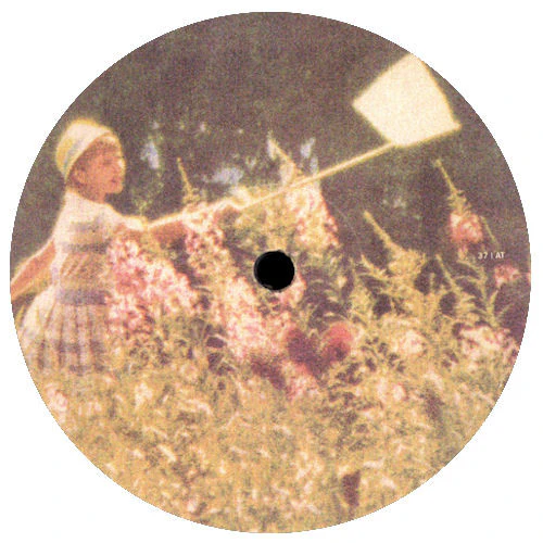 New Phunk Theory – Honey Falls (VG/Generic) – 12", UK 1998 - Image 2