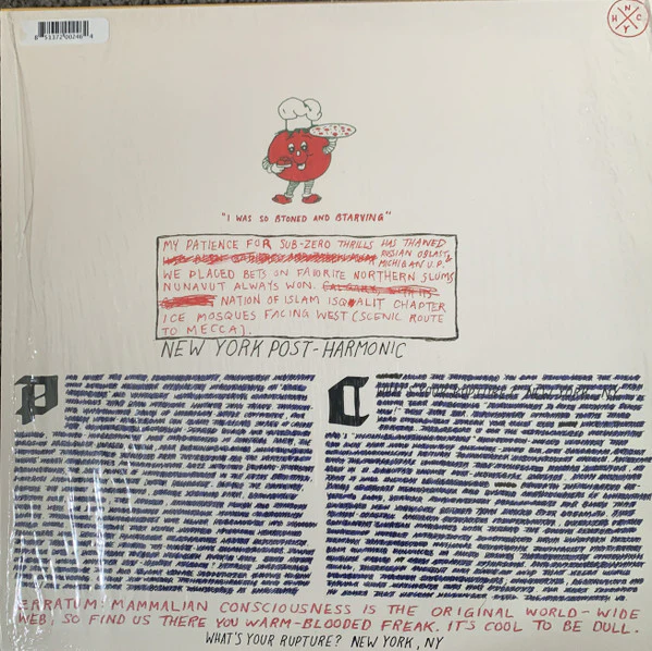 Parquet Courts – Light Up Gold (NM/VG+) – LP, AU 2018 - Image 3
