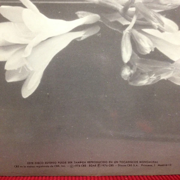 Pedro Iturralde – Flamenco Studio (NM/VG+) – LP, ES 1976 - Image 3