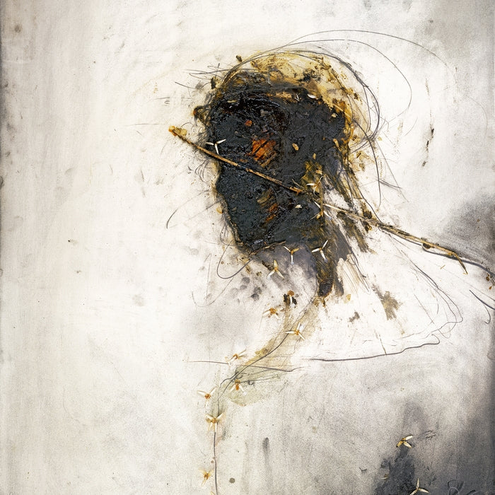 Peter Gabriel – Passion (2xLP)