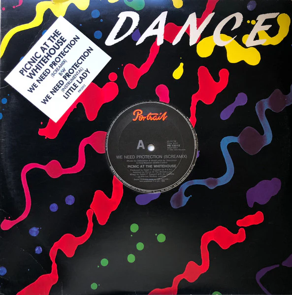 Picnic At The Whitehouse – We Need Protection (Screamix) (VG+/Generic) – 12", AU 1985