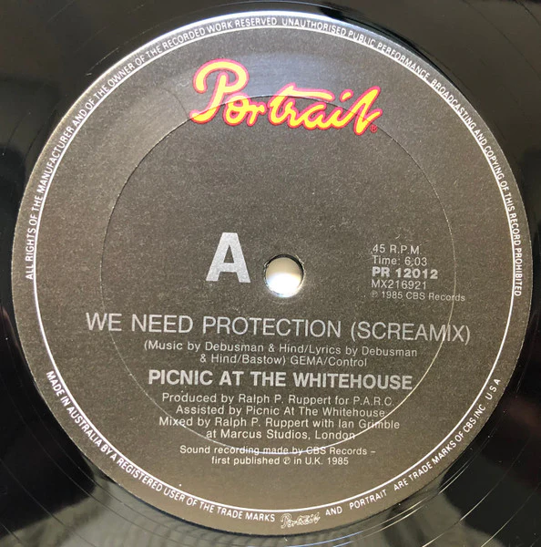 Picnic At The Whitehouse – We Need Protection (Screamix) (VG+/Generic) – 12", AU 1985 - Image 2