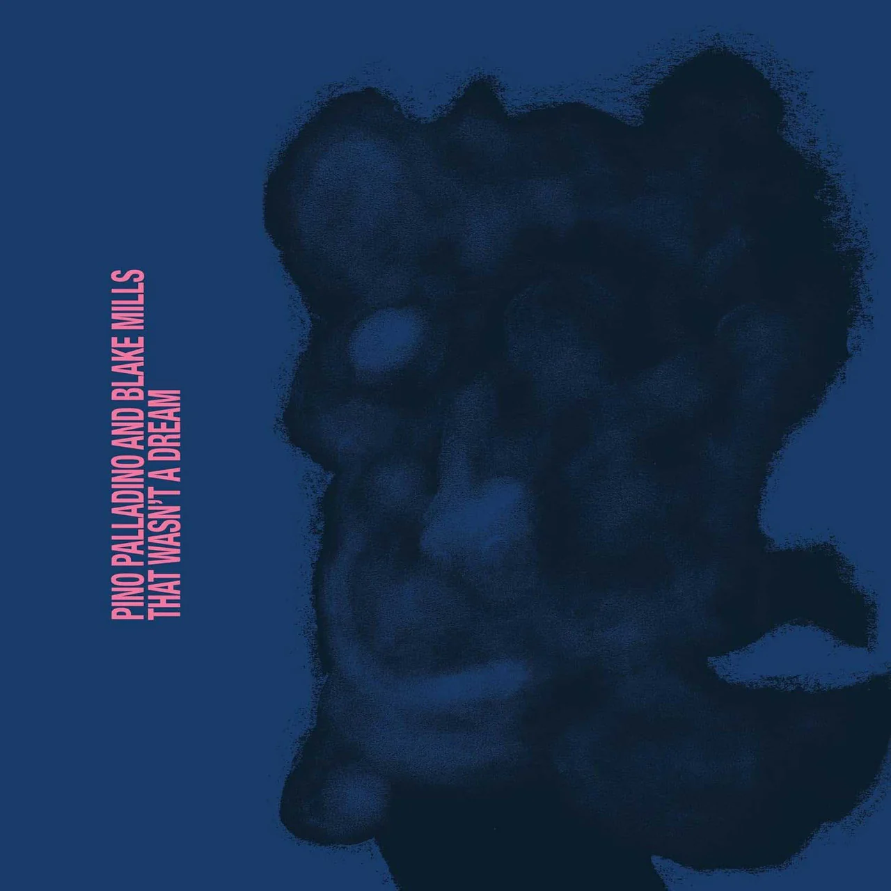 Pino Palladino, Blake Mills – That Wasn't A Dream