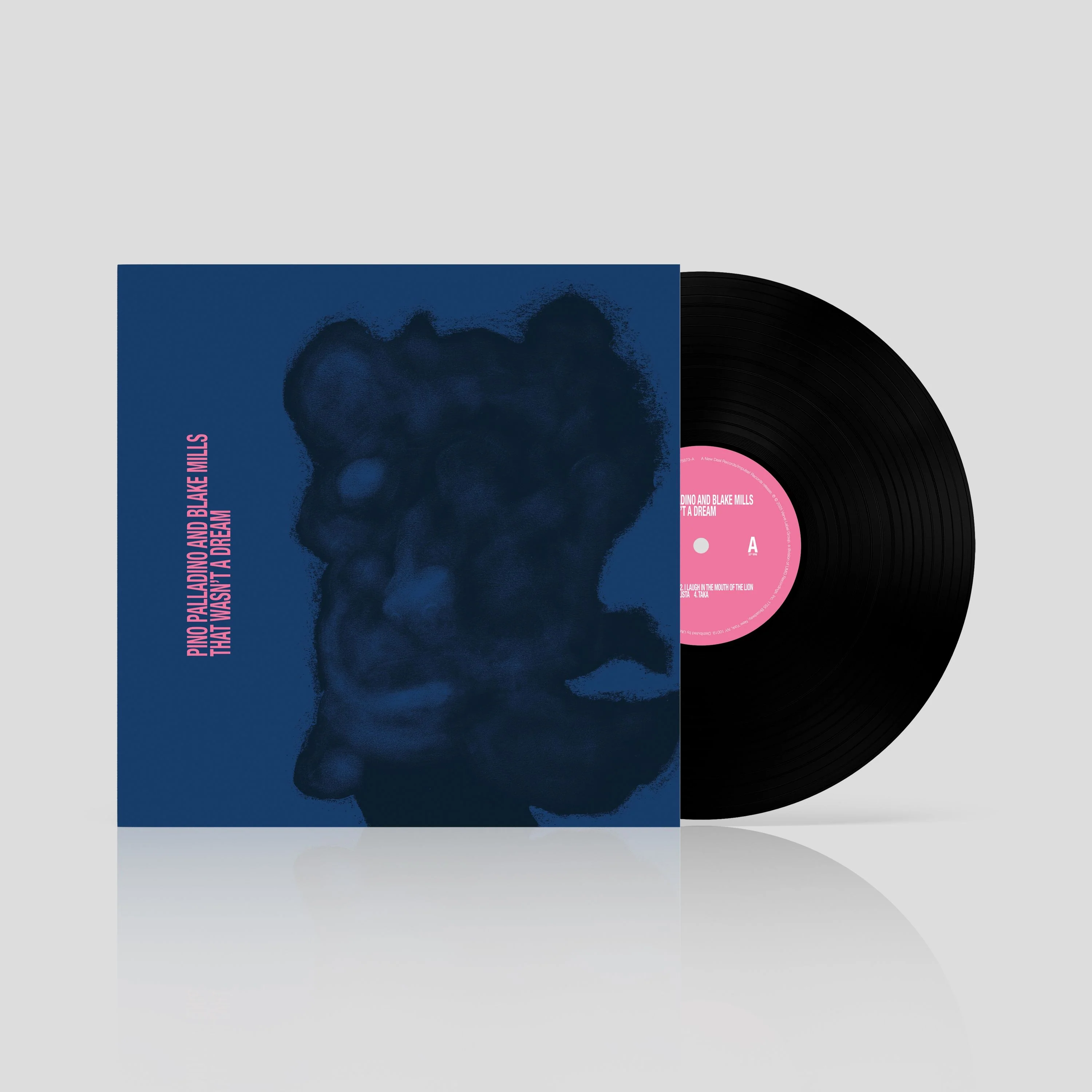 Pino Palladino, Blake Mills – That Wasn't A Dream - Image 2