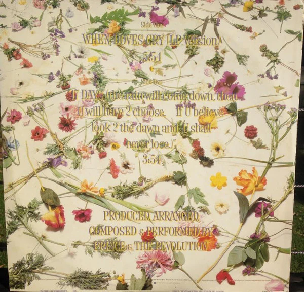 Prince And The Revolution – When Doves Cry (VG/VG+) – 12", AU 1984 - Image 2