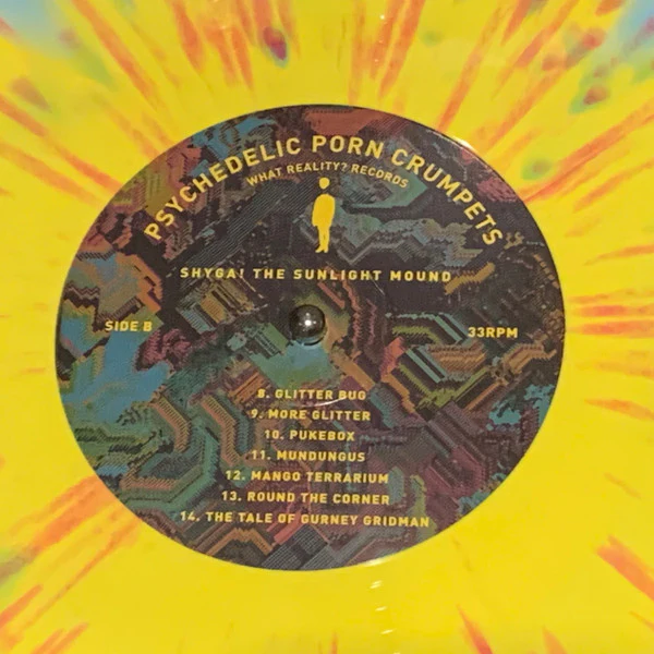 Psychedelic Porn Crumpets – Shyga! The Sunlight Mound (M/NM) – LP, 2021 - Image 6