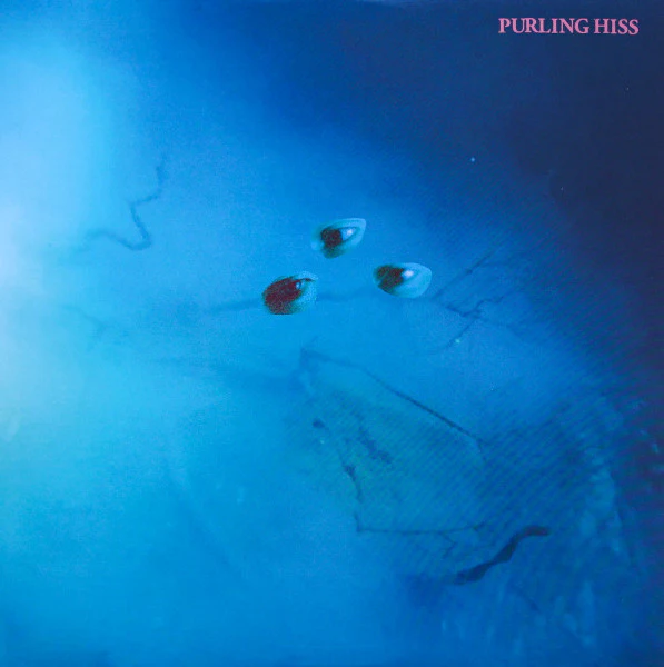 Purling Hiss – High Bias (VG+/VG+) – LP, US 2016