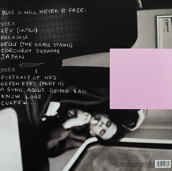 Rex Orange County – Bcos U Will Never B Free (VG+/E) – LP, US 2020 - Image 2