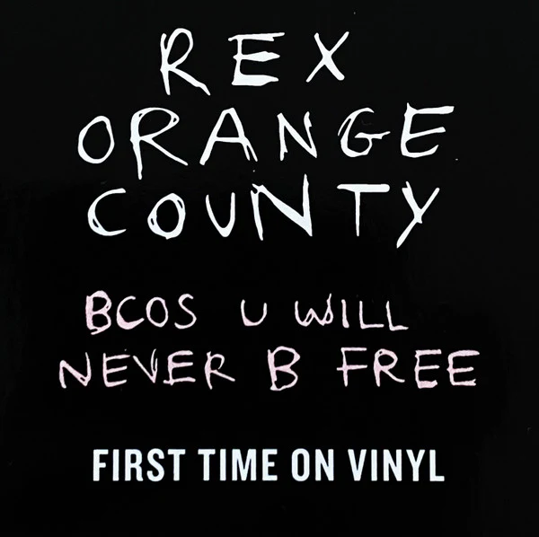 Rex Orange County – Bcos U Will Never B Free (VG+/E) – LP, US 2020 - Image 7