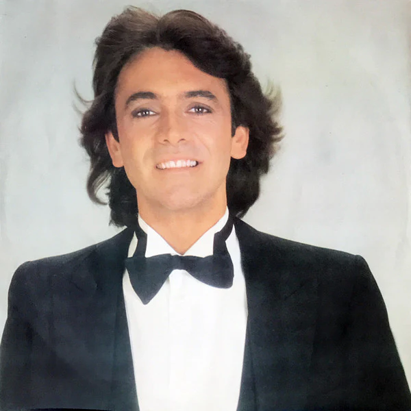 Riccardo Fogli – Collezione (VG+/VG+) – LP, IT 1982 - Image 5