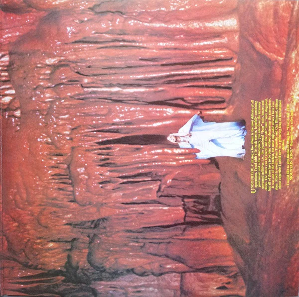 Rick Wakeman – Journey To The Centre Of The Earth (VG+/VG+) – LP, AU 1974 - Image 3