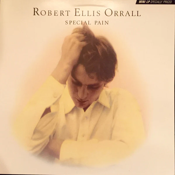 Robert Ellis Orrall – Special Pain (VG+/VG+) – LP, US 1983
