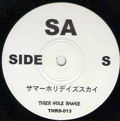 S.A., Robin – Tiger Hole Range (VG+/VG+) – 7", JP 2003, No OBI - Image 3