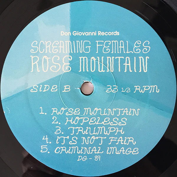 Screaming Females – Rose Mountain (VG+/E) – LP, US 2015 - Image 4