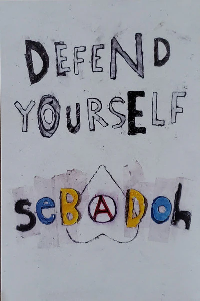Sebadoh – Defend Yourself (VG+/VG+) – LP, US 2013 - Image 9