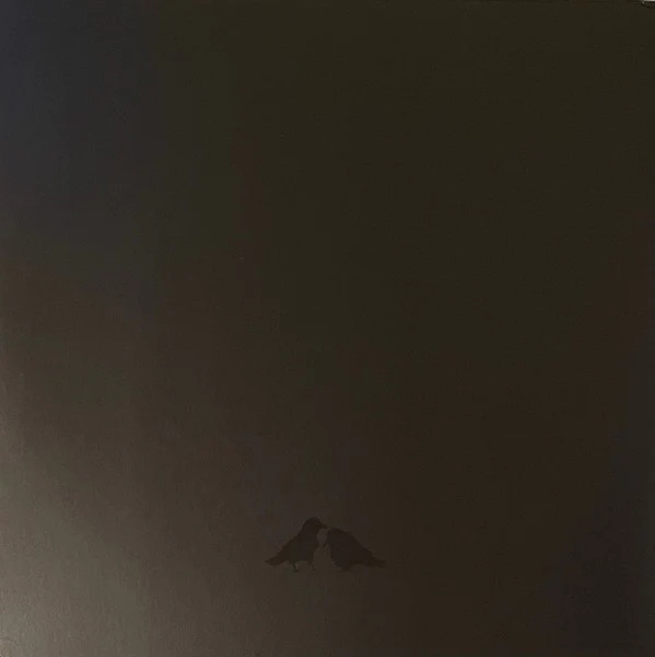 Sigur Rós, Steindór Andersen, Hilmar Örn Hilmarsson, María Huld Markan Sigfúsdóttir – Odin's Raven Magic (VG+/VG+) – 2xLP, UK 2020 - Image 2