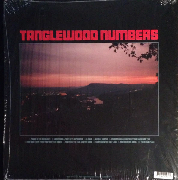 Silver Jews – Tanglewood Numbers (VG+/VG+) – LP, US 2005 - Image 2