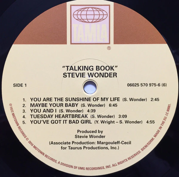 Stevie Wonder – Talking Book (M/M) – LP, EU 2016 - Image 7