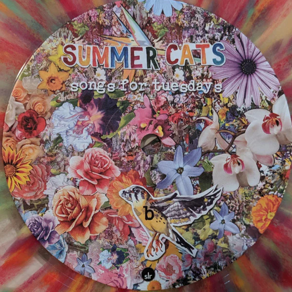 Summer Cats – Songs For Tuesdays (VG+/VG+) – LP, US 2009 - Image 4