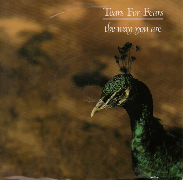 Tears For Fears – The Way You Are (VG+/G+) – 7", UK 1983