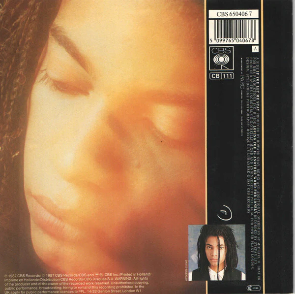 Terence Trent D'Arby – If You Let Me Stay (VG+/VG+) – 12", EU 1987 - Image 2