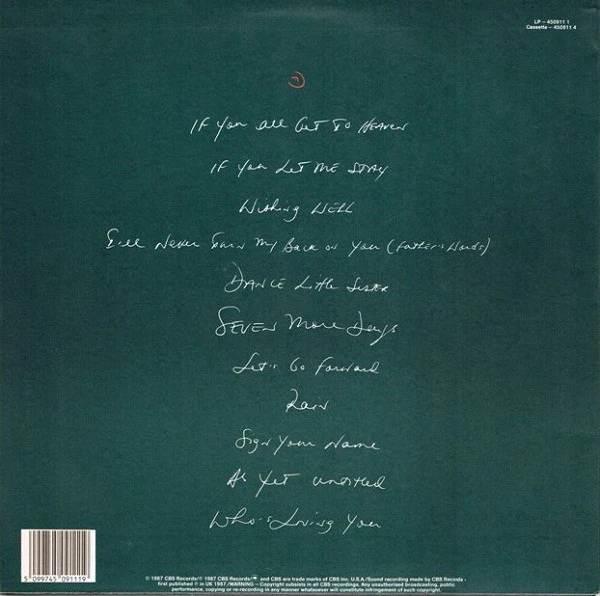 Terence Trent D'Arby – Introducing The Hardline According To Terence Trent D'Arby (VG/VG+) – LP, AU 1987 - Image 2
