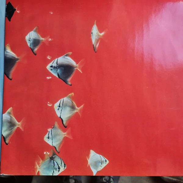 The Big Dish – Swimmer (E/E) – LP, UK 1986 - Image 3